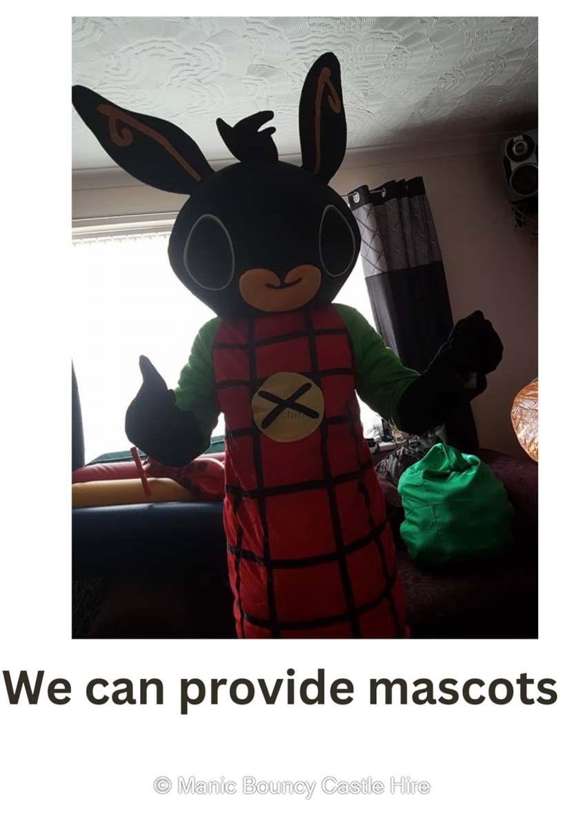 Mascotte Costume Bing Adulto Bing Bouncy Castle Hire Bouncy Castle